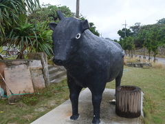 八重山諸島ひとり旅 ～黒島編～