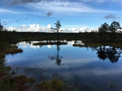 2017秋　エストニアの森でリセット旅♪10日間ちょこっとリガも（1日目）日本発タリンへ