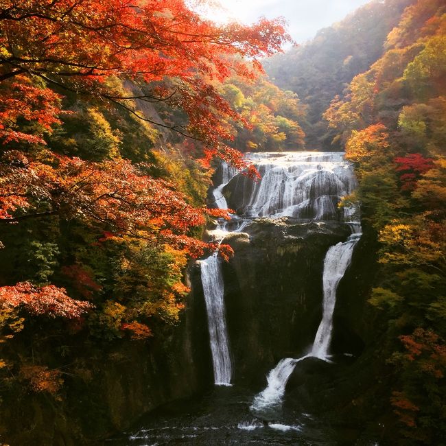 2017年の秋の紅葉。<br />今年はどんな秋景色が見られるかな?<br />何処へお出かけしようかな?<br /><br />夏が終わるころから、あそこに行こうか、ここにしようかと頭を悩まし色々と考えていました。<br />しかし、紅葉がオンシーズンとなった10月は季節外れの台風の到来で、週末がことごとく雨。<br />とても、紅葉を楽しみに山に出掛ける・・・なんていう天気ではありませんでした。<br /><br />そして、迎えた11月の最初の週末の天気は晴れで紅葉日和の三連休。<br />でも、こんな時に限って相棒と私の予定が噛みあわなく、なんとかお互いの都合を擦り合わせて出来たプランが【早朝出発、渋滞知らずで袋田の滝へ】。<br /><br />錦繍に彩られた山肌と豪快に流れ落ちる滝の競演を愉しんできました。<br />