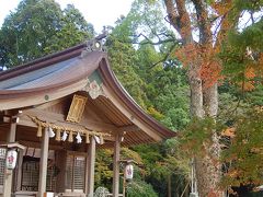 久しぶりの福岡への旅⑦太宰府天満宮&#12316;竈門神社