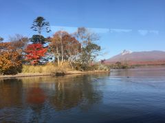 横浜経由紅葉の北海道！ 5  大沼公園で途中下車クルーズ！ 紅葉よりダンゴ？ 函館本線40年ぶりのリベンジ乗り鉄