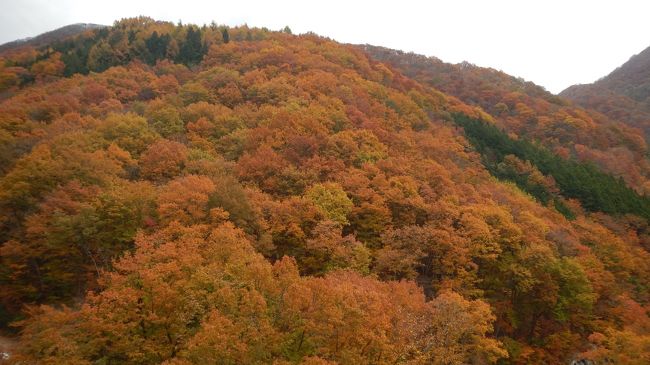 最初たまには茨城県にしようかと思ったけど紅葉が色づき始めだったので直前で目的地変更。紅葉とB級グルメ目的で福島、栃木に行ってきました。<br /><br />日程<br />11/2　栃木<br />11/3　福島<br />11/4　栃木