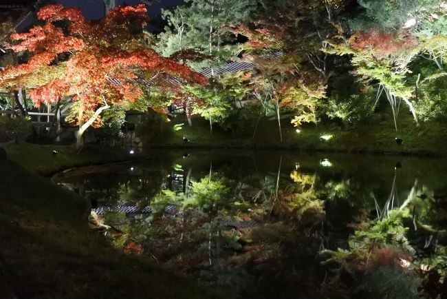 昨年の夏以来の京都旅行。<br />いつも清水寺しか行かないので今回は初めて行くところに行きました！