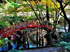 世羅・今高野山龍華寺を訪ねて・・・