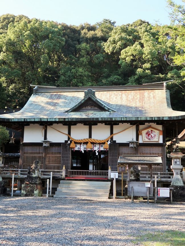 鬪鶏神社・鬪雞神社(とうけいじんじゃ)は、和歌山県田辺市にある神社である。旧称は田辺宮、新熊野。通称:権現さん。<br />熊野権現(現在の熊野本宮大社)を勧請し、田辺宮と称したのに始まる。白河法皇の時代に熊野三所権現を勧請した。平安時代末期の熊野別当・湛快のときにさらに天照皇大神以下十一神を勧請して新熊野権現と称し、湛快の子の湛増が田辺別当となった。弁慶は湛増の子と伝えられ、その子孫を名乗る大福院から寄進された弁慶の産湯の釜が当社に残る。<br />田辺は熊野街道の大辺路・中辺路(熊野古道)の分岐点であることから、皇族や貴族の熊野参詣の際は当社に参蘢し、心願成就を祈願した。熊野三山の全ての祭神を祀る熊野の別宮的な存在であり、当社に参詣して三山を遥拝して山中の熊野まで行かずに引き返す人々もいた。<br /><br />『平家物語』などによれば、治承・寿永の乱(源平合戦)の時、湛増は社地の鶏を紅白2色に分けて闘わせ、白の鶏が勝ったことから源氏に味方することを決め、熊野水軍を率いて壇ノ浦へ出陣したという。このことから「闘鶏権現」と呼ばれるようになり、明治の神仏分離の際に鬪雞神社を正式な社名とした。<br />2016年10月23日、第40回世界遺産委員会継続会議において、世界文化遺産「紀伊山地の霊場と参詣道」に追加登録された。<br /><br />現存する社殿は近世の再建に係る6棟が揃って遺存するもので、仮庵山を背に北面して建ち、東より西へ西殿、本殿、上殿、下殿、八百萬殿の6棟が横一列に並ぶ。建立年代は、本殿は寛文元年(1661年)、上殿は推定で江戸時代前期、西殿は元文2年(1737年)、他3棟は延享5年(1748年)である。本殿と上殿は一間社春日造かつ奥行二間とする、いわゆる熊野造である。構成や配置、各建物の形式は熊野三山の社殿と類似しており、熊野との強い関係性を示す。本殿と上殿は、田辺地方における数少ない17世紀中期以前に遡る貴重な神社建築例である。これらの社殿は国の重要文化財に指定されている。<br />(フリー百科事典『ウィキペディア(Wikipedia)』より引用)<br /><br />闘鶏神社 については・・<br />http://wakayama-jinjacho.or.jp/jdb/sys/user/GetWjtTbl.php?JinjyaNo=7001<br />http://www.tanabe-kanko.jp/midokoro/jinja/toukei/<br />
