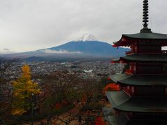 富士山を望む新倉山浅間公園の紅葉と河口湖もみじ回廊