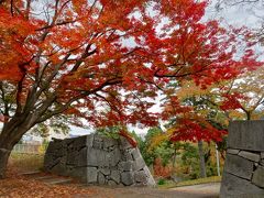 東北紅葉の旅   盛岡