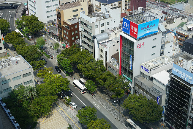 市役所や県庁の屋上を展望室として市民に開放している自治体があります。堺市庁舎もその一つ。空から堺市を見下ろしてみました。<br /><br />過去の市役所・県庁展望室旅行記<br /><br />関西散歩記～2014-4 奈良・奈良市編～<br />https://4travel.jp/travelogue/10947816<br /><br />ちょい旅～2009 富山・富山市編～<br />https://4travel.jp/travelogue/10316241<br /><br />群馬旅行記～2007 高崎市編～<br />https://4travel.jp/travelogue/10184401<br /><br />過去の大阪・堺市堺区散歩記<br /><br />関西散歩記～2017 大阪・堺市堺区編～<br />https://4travel.jp/travelogue/11231707<br /><br />関西散歩記～2016 大阪・堺市堺区編～<br />http://4travel.jp/travelogue/11140479<br /><br />関西散歩記～2015-2 大阪・堺市堺区編～<br />http://4travel.jp/travelogue/11043777<br /><br />大阪まとめ旅行記<br /><br />My Favorite 大阪 VOL.4<br />http://4travel.jp/travelogue/11242529<br /><br />My Favorite 大阪 VOL.3<br />http://4travel.jp/travelogue/11152287<br /><br />My Favorite 大阪 VOL.2<br />http://4travel.jp/travelogue/11036195<br /><br />My Favorite 大阪 VOL.1<br />http://4travel.jp/travelogue/10962773<br />