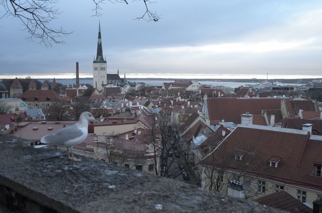 エストニアの首都、タリンへはヘルシンキからの日帰りで。<br /><br />マイナンバー導入のお手本になった国、スカイプ発祥の国、などITに特化した国という印象。<br /><br />個人的には、資源が多くなく、歴史も浅く、大国に囲まれた国がITに特化することで自国を守る、発展させることは自然な流れだと思うし、それに徹している国はすごいと思います。<br />先般訪れたルクセンブルクが金融に特化するのと似た感じ。<br /><br />翻って、長い歴史と海に囲まれるという地理的優位性を持つ日本が、IT技術を上辺だけ（と言い切れるほどそれについて勉強している訳ではありませんが）取り入れることの必要性については甚だ疑問に感じるわけです。<br />そんなこと言ってたら国際世界から置いてけぼりにされるよ、という意見も理解できますが、背景が全く違う国からいいとこどりしようとしたって結局根付かないんじゃない？…というのが正直な感想。<br /><br />まあ、「改良」「改善」は得意な日本のこと。そう遠くない未来に日本仕様の、より使い勝手がいいものを作ってしまうのかもしれませんが。<br /><br /><br />それはさておき。<br />朝から日本でのトラブルに対応し、何だか気分が乗らないうちにフェリー乗り場を間違え、そんなこんなしてるうちにiPodがフリーズし、最後まで土地勘を掴めず、ITなんか吹っ飛んだ旅になりました。<br /><br />まあ、それも旅の思い出ですね。
