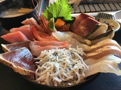 ワンコと一緒旅2017冬☆今年最後の旅行は美味しいもの食べに伊豆へ！