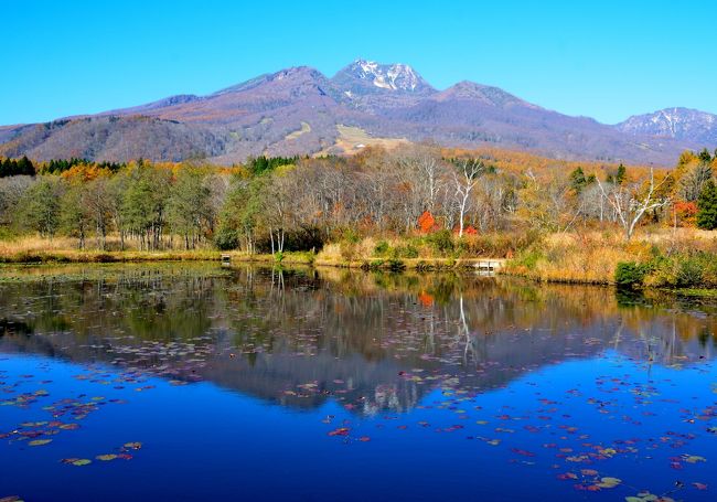 新潟県南部の上越、妙高および信濃北部にある城（城址）を訪ねました。途中妙高高原に立寄り、紅葉を楽しんできました。約７８０キロのドライブでした。<br /><br />１．行程<br />　①松代城～真田邸～長国寺～高田城～春日山城～五智国分寺～上越<br />　②上越～妙高高原（いもり池、苗名滝）～飯山城～荒砥城<br />２．訪れた城、城跡<br />　・松代城（日本百名城）<br />　・高田城（続日本百名城）<br />　・春日山城（日本百名城）<br />　・飯山城<br />　・荒砥城<br />