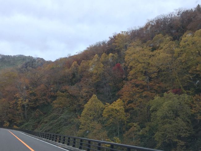 →道の駅　知床らうす<br />→道の駅　おだいとう<br />→道の駅　スワン44ねむろ<br />→道の駅　厚岸グルメパーク<br />→釧路駅<br /><br />知床峠を少し越えた時にはまだ青空が見えた…。<br />天気予報は外れる???<br />