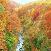 2017見納め紅葉　浄土平と裏磐梯（火山と紅葉）