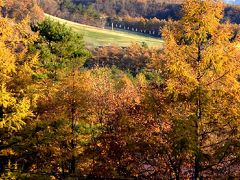 朝陽に輝く草津高原、カラマツの紅葉