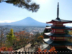 ここぞジャパン！新倉山浅間公園と河口湖もみじ回廊