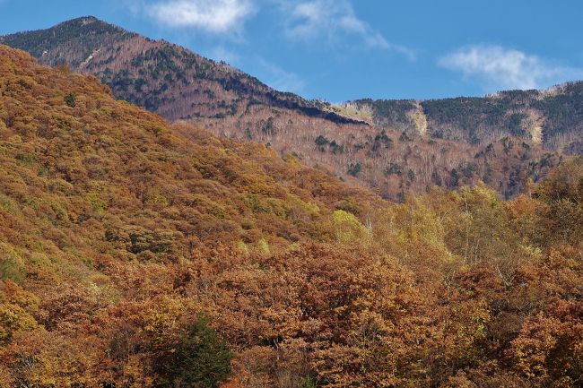 久々に週末が天気が良く約一か月ぶりの登山です。<br />メインは日本三大峠の一つ雁坂峠です。<br />日本三大峠の由来は良く分からないですが、古くからの要所で標高も高いってのが理由なのかなぁ？<br />高さだけなら雁坂峠より高い峠は他にもありますかね…<br />登山開始は道の駅みとみ、この辺りは西沢渓谷の入り口でもあり今がまさに紅葉の見所でした。<br />ここから雁坂峠までは片道8Km弱と何気に距離があります。<br />標高差は1000mとまずまずですが、それ程急坂もなく登りやすく良い道でした。<br />お隣の甲武信岳への徳ちゃん新道は凄い急登なのとは対照的です。<br />そして、雁坂峠は開けていて見晴らしも良く気持ちが良い場所で、気温も17度、風も無風と最高のコンディションで久々に良かったです。<br />ここから100m下の雁坂小屋と200m上の雁坂嶺へも行き下山となりました。<br />これで日本三大峠は、昨年夏に三伏峠へ行ってるので、残すは針ノ木峠だけになりました。 