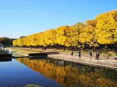 モノレールに乗って 昭和記念公園に 紅葉を見に行こう！