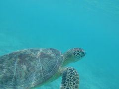 ２０１７年８月。高波の中、渡嘉敷島から那覇に帰る日。