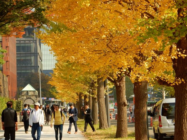 ぽかぽか陽気の秋晴れ・11月7日、都心の秋をさがしに歩いてきました。<br />イチョウが黄色く色づきはじめ、これからが秋色の本番のようです。<br /><br />　＜コース＞<br />　　　東京駅～行幸通り～皇居東御苑～北の丸公園～靖国神社<br />　　<br /><br />