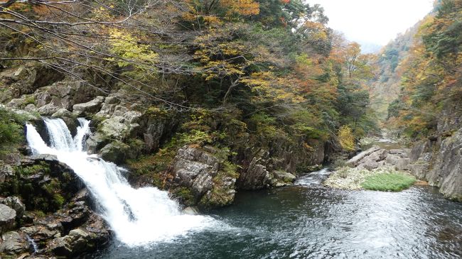 「三段峡」なる絶景峡谷が広島県にあるのを知ったのは昨年のこと（遅）<br />既に紅葉の時期は終わっていたので、来年絶体行く！！と心に決めて（笑）超早くから予定を立てていたと(^^ゞ<br />そしていざその日が到来（つつがなく１年過ごせたことに感謝(*^｡^*)）<br /><br />旅行前は<br />「何？？どこ？？広島？？帝釈峡やったら知っとるけど、そんなん知らんで？？」<br />と、あまり感心のない様子だった夫をして<br /><br />「どや！？やっぱり来て良かったやろ？？これもσ(^_^)のおかげやで（￣＾￣）」（←ここぞとばかりに自慢（爆））<br />「…ホンマやなぁ……お世話になりました」<br /><br />と、珍しく？？素直な言葉を言わしめた、感動的な景色が次から次へと！！<br />まさに絶景ハイキング…も、本当にすんばらしい体験ができたよん(^_^)v<br />翌日はちょい予定が変わったけど、素敵な美術館で素敵な絵画が鑑賞できて、結果的には大満足の２泊３日…<br />毎度ながらどなたかの参考になれば幸いです(*^｡^*)<br /><br />宿泊<br />１・２泊目　三段峡ホテル（連泊）<br /><br />※写真は全てσ(^_^)のカメラで<br />コンデジにしてはそこそこ性能はあるはずなんやけど、全く使いこなせてないんでほぼオート撮影のみ<br />なので実際の色彩再現からはほど遠く(^◇^;)…それでもこれだけ綺麗なんで、実際はもっともっと凄いです(*^｡^*)<br />（←勝手に三段峡広報係就任（笑））<br /><br />訪れた場所は口コミをご覧ください(^.^)