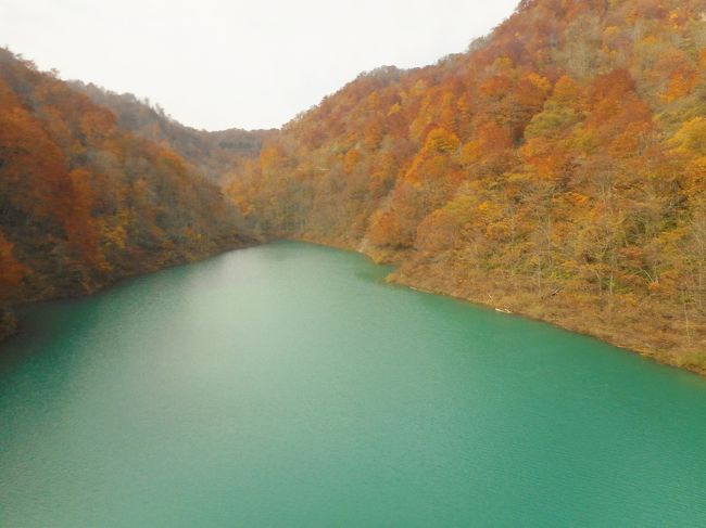 秋田市内から田沢湖畔を半周して、本日の最終目的地、十和田湖へ向かいます。<br /><br />どこまでも、ず～っとつづく玉川ダムがあるR341は見事な紅葉・・・！<br /><br />秋田県と岩手県をまたぐ八幡平を横断する山岳ワインディングロード（八幡平アスピーテライン・樹海ライン）<br />今回は入口しか見てないので、いつか必ず訪れてみたいです！