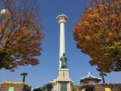 秋の釜山は紅葉がキレイ