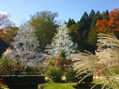 箱根・・ガラスの森美術館とポーラ美術館で秋のスイーツを食べる♪