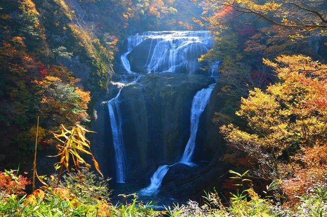 この時期の紅葉に関する私の主要な情報源は、ネットでは東京ウオーカーの 「紅葉の名所」 とジョルダンの 「紅葉情報」 、雑誌では今でも大事にしている10年前に買った 「こんな所を歩いてみたい、関東周辺、紅葉の散歩道」 だが、今回は茨城県の紅葉人気ランキングで常に上位を占める、日本三大瀑布のひとつ「袋田の滝」をはじめ、「竜神大吊橋峡」、「花貫渓谷」の三か所を巡ってきました。<br />