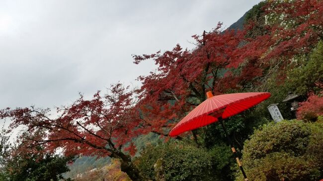 佐賀の紅葉巡り～紅葉の九年庵と御船山楽園・祐徳稲荷神社～