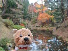 函館一人旅。観光よりもB級グルメを楽しむ冬。格安のホテルとバリウマのパンときれいな紅葉でした！
