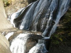 紅葉とイルミネーションを堪能　日帰りバスツアーの旅～袋田の滝・あしかがフラワーパーク