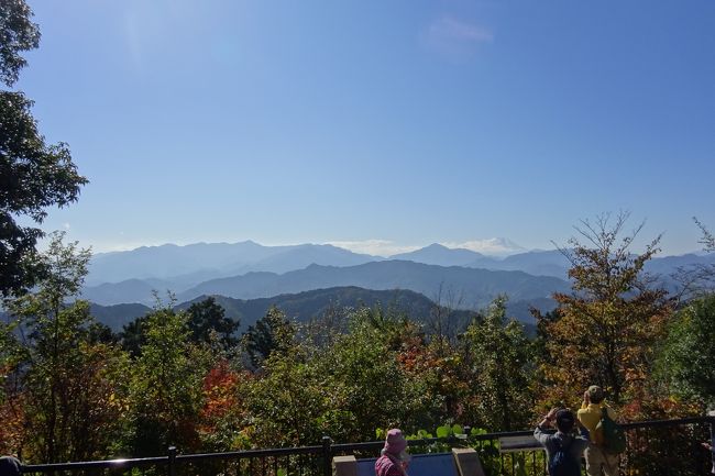 紅葉便りが聞こえてくる、高尾山、相模湖の美しい紅葉が見たくて今年もやってきた。<br />例年より２週間以上早い訪れである。例年は、天気待ちなどで紅葉の見ごろをやや遅れであったので、早めに訪れた。<br />昨日の悪天候で富士山も冠雪したようで、天気の良いこの日の登山と成った。<br /><br />今年の紅葉は、天候不順が続いたせいかあまり鮮やかな紅葉は期待できないらしい。<br />果たして例年より早いせいもあるが、例年よりやや劣る紅葉狩りとなった。<br /><br />富士山は、朝の内は冠雪していたのだが、昼ごろにはすっかり雪が融けていた。<br />期待の相模湖は、まずまずの紅葉と成っていた。<br /><br />今回は１３回目の健康登山で、２１度の満行まであと８度となった。<br /><br />過去の高尾山旅行記（いろいろなルートを通っているのでご参考に）<br /><br />高尾梅郷　木下沢梅林、梅まつり　<br />https://4travel.jp/travelogue/11223152　2017年3月<br />⑬高尾山健康登山（12）（リフト）－高尾山山頂ーいろはの森ー高尾梅郷ー高尾山温泉　2017年3月<br />http://4travel.jp/travelogue/11223705<br />⑫高尾山のダイヤモンド富士は　（ケーブルカー）ー高尾山山頂　健康登山（11）2016年12月<br />http://4travel.jp/travelogue/11200677<br />⑪高尾山　紅葉は　1号路ー高尾山ー相模湖　健康登山（１０）2016年１１月　<br />http://4travel.jp/travelogue/11193851<br />⑩高尾山健康登山（９）　６号路ー高尾山ー１号路－琵琶滝ー高尾山温泉　2016年１０月<br />http://4travel.jp/travelogue/11181642<br />⑨高尾山健康登山（８）　１号路ー高尾山ー４号路－琵琶滝ー高尾山温泉　2016年４月<br />http://4travel.jp/travelogue/11123664<br />⑧高尾山健康登山（７）梅林　１号路ー高尾山ーいろはの森ー木下沢梅林ー高尾駅　2016年３月<br />http://4travel.jp/travelogue/11112695<br />⑦高尾山健康登山（６）　６号路（琵琶滝）ー高尾山ー金毘羅台歩道－高尾駅　2016年２月<br />http://4travel.jp/travelogue/11100834<br />⑥高尾山健康登山（５）　紅葉は　蛇瀧ー高尾山ー相模湖　2015年１１月<br />http://4travel.jp/travelogue/11079204<br />⑤高尾山健康登山（４）　稲荷山コースー奥高尾ー高尾山ー琵琶滝　2015年９月末<br />http://4travel.jp/travelogue/11060097<br />④高尾山健康登山（３）　紅葉は　琵琶滝ー高尾山ー相模湖　2013年１１月<br />http://4travel.jp/travelogue/10833361<br />③高尾山健康登山（２）　１号路ー高尾山ー小仏峠ー小原宿　2013年５月<br />http://4travel.jp/travelogue/10775822<br />②高尾山健康登山（１）　桜、富士山　１号路ー高尾山ー小仏峠ー旧甲州街道　2013年４月<br />　http://4travel.jp/travelogue/10765461<br />①高尾山から相模湖ハイキング　紅葉は？　１号路ー高尾山ー相模湖　2012年１１月<br />http://4travel.jp/travelogue/10729717