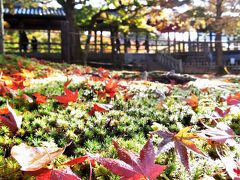 2017年11月１０日　京都紅葉だより　東福寺と京都市内①