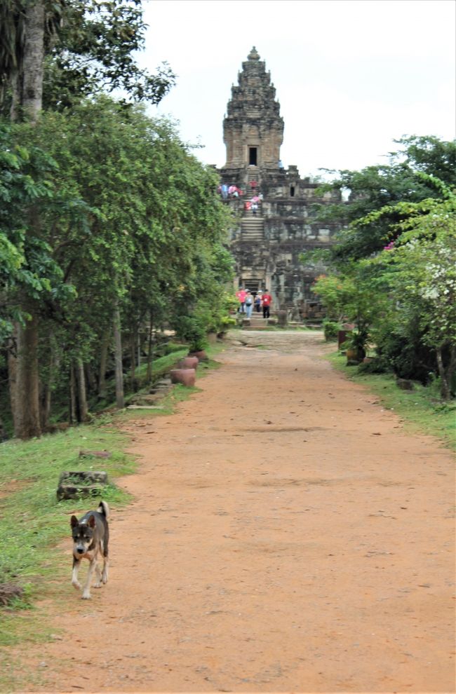 悠久の歴史～インドシナの遺跡・世界遺産を訪ねる旅　その⑯　８日目その１：最終日まずはロリュオス遺跡群へ！