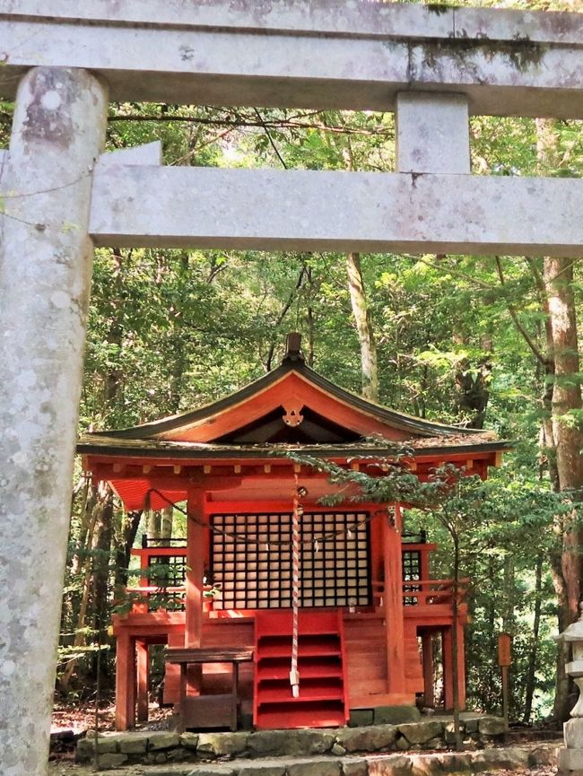 発心門王子(ほっしんもんおうじ)は和歌山県田辺市本宮町の神社旧蹟。九十九王子のひとつで、五体王子のひとつにかぞえられた。国の史跡「熊野参詣道」(2000年〈平成12年〉11月2日指定)の一部。<br />三越峠から音無川源流の谷川沿いを進み、猪鼻王子を過ぎると、参詣道は坂道となり、谷を離れる。小渓流を横目にシダの茂る坂道を登りきり、鳥居(発心門)をくぐったところで、発心門王子の社地が目に入ってくる。<br /> 発心門と言う語は山岳信仰における四門修行に由来する。四門修行においては、山上の聖地に至る間に発心・修行・等覚・妙覚の4つの門を設け、それらを通り抜けることによって悟りが開かれると説かれた。このとき、発心とは発菩提心、すなわち仏道に入り、修行への志を固めることを意味する。すなわち、発心門とは聖域への入り口を意味しているのである。<br />発心門とは本来は字のごとく楼門であるが、ここでは鳥居であり、そのそばにあったことから発心門王子の名が与えられた。<br />現在の社殿は1990年(平成2年)に再建されたものである。<br />和歌山県田辺市本宮町三越字上久保1652<br />(フリー百科事典『ウィキペディア(Wikipedia)』より引用)<br /><br />中辺路とは、和歌山県南部の道路で熊野街道紀伊路の一部。<br />田辺市から海岸に沿う大辺路と分れ、紀伊山地を越えて熊野三山へ通じる参詣路で、本宮までは国道 311号線にほぼ相当する。古くから熊野街道の本通りとされ、沿道には王子社がまつられ、紀州藩の伝馬所もおかれていた。<br />(http://d.hatena.ne.jp/keyword/%C3%E6%CA%D5%CF%A9 より引用)<br /><br />中辺路ウォークコース<br />世界遺産に登録されている熊野古道の中でも人気なのが、『中辺路(口熊野・田辺~熊野本宮大社)』のウォークコース。熊野古道のゴールデンルートとも呼ばれる、もっとも人気のコースです。<br />熊野古道・中辺路 については・・<br />http://www.tb-kumano.jp/kodowalk/<br />http://www.hongu.jp/kumanokodo/<br />http://www.hongu.jp/kumanokodo/walk/<br /><br />高野山・熊野三山・中辺路をゆくハイキング3日間<br />その昔、熊野三山詣でを行う人々が通る道を、豊かな自然の中、旅人に思いをはせながら歩きましょう。世界遺産・熊野古道のみどころを3日間かけてじっくりと語り部同行で歩きます <br />■熊野古道 <br />紀伊半島南部にあたる熊野の地と伊勢や大阪・和歌山、高野及び吉野とを結ぶ古い街道の総称で、「熊野街道」とも呼ばれています。 <br />■中辺路 <br />田辺と熊野本宮大社を結び、かつて上皇や女院が参詣路とし、後鳥羽上皇が歌会を催したとされる近露王子をはじめ、王子と呼ばれる神祠が数多く現存する道です杉林に囲まれた神聖な雰囲気の山道が続きます<br /><br />2 紀州みなべ温泉--★滝尻王子--熊野古道・中辺路ハイキング(道の駅--牛馬童子像--近露王子--発心門王子--水呑王子--★熊野本宮大社--大斎原)--串本温泉・串本ロイヤルホテル(泊) <br />※歩行:約9km、約4時間 <br />