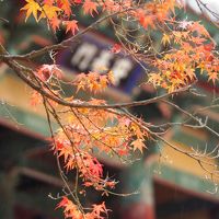 韓国/古都慶州で紅葉狩り＠ヒルトン慶州＆アーバンホテル(2017年11月)