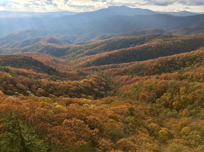 もう11月なのですが、まだ間に合うかもしれないと思って シャーロットから北へ2時間のBlowing Rockに行ってみました。<br />ここは、Blue Ridge Parkway と紅葉で有名な場所です。やっぱりもう終わりかけていたか、またはやはり台風のせいでおかしくなったか、燃えるような紅い色はあまりなかったですが、Rockの上まで行ったら展望台から眺める景色は圧巻でした。