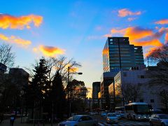 札幌・小樽ひとり旅行2017年初冬（2）～札幌は円山公園をゆらゆら＆ピカンティのスープカレー