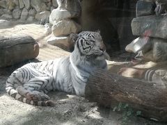 東武動物公園へ行きました。