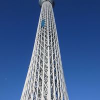 ハロウィンジャンボ宝くじの抽選会参加のため東京へ+観光