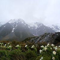 春のニュージーランド　ドライブの旅（ワイナリー～マウントクック編）
