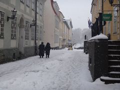 はじめてのバルト三国2017-<9>リーガ2日目前半・雪降るリーガは悲しいキモチで