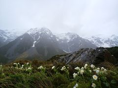 春のニュージーランド　ドライブの旅（ワイナリー～マウントクック編）