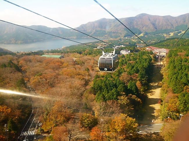 11月上旬 箱根の紅葉 By 車 ケーブルカー ロープウェイ 海賊船 神奈川県の旅行記 ブログ By Ud Bfさん フォートラベル