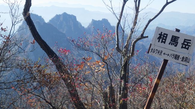 ６日　今日は登山(岩登り）です。妙義山は一般的に表妙義を指し、妙義神社からの白雲山と中之岳神社からの金洞山を云い、岩山で繋がっておりクサリとハシゴが多々ありますが縦走できます。岩好きには魅力の山。　　　　　　　宿の朝食が７時１５分から、急いで済ませ登山口の妙義神社に８時２０分到着。昨日下見した妙義神社総門をくぐり、本殿の石段を登らず右に行くと登山道に。穏やかな杉の大木の中を３０分ぐらい行くと岩に突き当たります、ここから鎖場が続きます。<br />