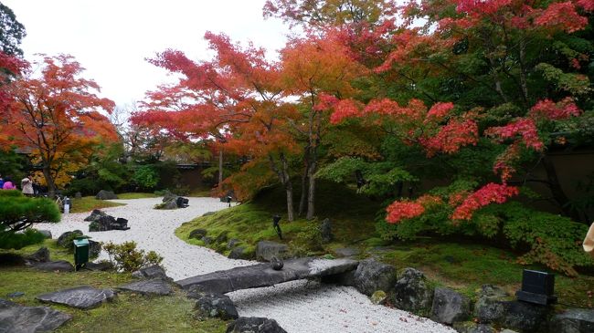 東北の様子を伺いに行くのと、平泉・仙台に行った事がなかったので行ってみたかったのと、気分転換を兼ねて足を伸ばしてきました。<br />紅葉も運よく間にあって、鮮やかで儚さもある色彩を楽しんできました。<br /><br />ツアー）えきねっと：往復新幹線（往：東京⇒一ノ関、復：仙台⇒東京）＋　仙台ホテル（朝食付き）23300円<br />ホテル）レオパレス仙台<br />バス一日券）一関×平泉ワンデー　バス　パスポート　1000円<br /><br />１日目）東京⇒一ノ関⇒中尊寺⇒厳美渓道の駅⇒厳美渓⇒一ノ関（世嬉の一で夕食）⇒仙台<br />２日目）仙台⇒松島（遊覧船、昼食、五大堂、円通院）⇒仙台瑞鳳殿⇒東京