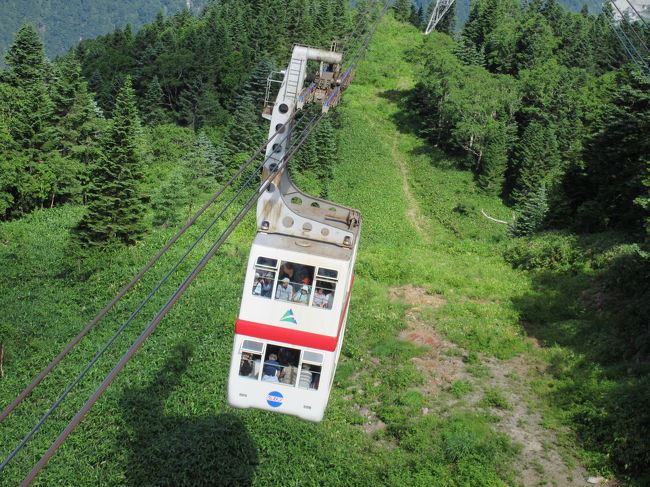 上高地、新穂高ロープウェイ、乗鞍スカイライン2日間のバス旅行「穂高荘 山月」宿泊<br /><br />兎に角暑い町中から逃避して涼しいところで休暇を取ろうとCTの表記2日間のツアーに家内と参加しました。<br />2017年8月1日朝 新大阪から新幹線のグリーン席にて、名古屋迄行き、名古屋にて「特急ワイドビューひだ」に乗り換え、2時間22分で高山に着く。「特急ワイドビューひだ」内で前もって注文していた昼の弁当「ひつまぶし」と家内の注文した<br />「天むす」を受け取り、列車が前向きに走り出す岐阜から家内と少し交換して両方の弁当を味わった。「ひつまぶし」は紐を引くと触媒が反応して温まる工夫がされている弁当で美味しく 戴けた。<br />高山にて待っていた奥飛騨観光のバス(満員)に乗り換え上高地へと向かう。バスは1時間で大正池に着いたが、最初の長い<br />トンネルを抜けると、可なりの雨が降っており、これはどうなることかと思っていたが次のトンネルを出ると雨は止んでいた。<br />当初の日程では先にロープウェイの予定であったが、ホテルへ行く道に崖崩れがあり、初日に上高地を訪問することとなった。<br />上高地では先ず、バスは大正池に止まり、そこで1/3の人がハイキングを楽しむため下車。私も1度バスから降り大正池の写真を撮ったが、腰に不安が有ったので、すぐにバスの席に戻り家内共々、上高地バス停駐車場までバスに乗って行った。<br />上高地バス停駐車場にてバスを降り、直ぐ河童橋に行き、写真を撮った。河童橋はパンフレットから想像したより川からみて低い位置に有るとおもった。次に計画をしていた河童橋傍の五千尺ロッジに属するが道から直ぐアクセスできるトワサンクを訪問、Apple pieとリンゴのアイスクリーム、コーヒーを注文、店の外、川の見えるベランダにて戴いた。晴天ではなく雲が多い日であったが、暑くもなく清涼感があり、ハイキングに最適か? 山並みがハッキリと見えないのが残念だった。そこから歩きウエストン碑前で写真を撮り、穂高橋、田代橋通り帝国ホテルに立ち寄り土産物店を見て、バス停迄戻って来た。このショートハイキングは1時間40分しか掛からなかったので、大正池から歩いても3時間の上高地ツアー滞在時間内に納まるようである。明神池&明神橋へ行くとツアーの時間内帰着が難しいとのこと。我々は時間が余ったので、河童橋までもう一度歩き土産屋と五千尺ホテルを見て回ったが、五千尺ホテルのレストランは16時過ぎには閉店となっていた。(閉めるのが早い) ツアーの一向は皆バス出発時間の17時40分迄にバスに帰着、バスはその日のホテルへ向かった。我々は+αの穂高荘山月で泊まる為、まず6組降ろされ、残りの人は穂高荘山のホテルへと向かった。<br />我々の泊まった穂高荘 山月 は純和風旅館で部屋も広く、風呂も檜張りで露天風呂も有るため、わざわざ山のホテルの大露天風呂へ行く必要はなかった。ホテルにチェックインして早々に19時から豪華な和食コースを頂いた。前菜と梅酒から始まり、刺身、飛騨牛しゃぶしゃぶ、鮎の塩焼、筍釜飯、そして水菓子と充分過ぎる量と味を楽しんだ。特に飛騨牛しゃぶしゃぶは味にうるさい家内も美味しいと堪能した様だ。<br />翌朝8月2日は快晴、ホテルに同じバスが迎えに来て、白樺平駅迄バスに乗り、そこから新穂高ロープウェイ(第2)に乗り、標高2156mの展望台に上がり、穂高、鑓ヶ岳、笠ヶ岳等のアルプスの山々を展望した。<br />山々は時々雲に隠れることもあるが、ほぼ美しい全貌を観ることができた。我々は山登りはしないが、登山の好きな人の気持ちが分かるような気がした。その後、バスは乗鞍スカイラインを通り2702mの畳平(14度C)に着き、そこで昼食とお花畑の散策を楽しんだ。<br />途中バスの中から烏帽子岳の頂上が一瞬綺麗に見えたが、シャッターチャンスを逃した。この畳平着からバスの出発までが食事時間も含め1時間であったのが唯一時間不足の感があった。後は、高山まで同じバスで乗鞍スカイライン及び山の中のくねった舗装道路(快適、半分寝ていた)にて着き、高山からワイドビューひだ14号にて名古屋。名古屋からこだまのグリーン車にて行きの逆ルートにて新大阪帰着。パンフレットに人気の有るツアーと書いてある通り満足度の高い小旅行でした。<br /><br />Yorky