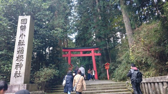 2017年11月12日(日)から13日(月)の二日間、箱根旅行をしました。<br /><br />今月は三連休を利用した南東北、この箱根、そして青森県蔦温泉にも行く予定があり、なんと三週連続で旅行をすることになります。<br /><br />贅沢な話かも知れませんが、子どもが独立した現在、旅行をするためにだけ働いている感がありますし、老齢の両親の介護もそのうちしなければならないので、自由に行動できる今を大切にするために、思い立ったら迷わずに出かけることにしています。<br /><br />宿は、2月の旅行で宿泊した時に予約しておいた箱根吟遊です。