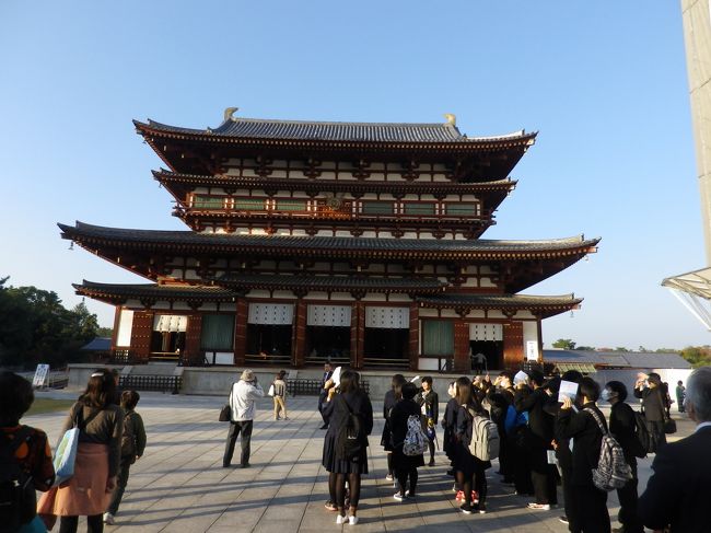 １１月５日（日）NHKをたまたま見ていたら奈良薬師寺の特番をやっていました。６日から奈良に行くので、先ずは西ノ京に向かい薬師寺を拝観しようと思い立ち京都経由直行しました。ほとんどの建物が再建とは言へ数百年後には国宝になるんでしょうが、見応えあります。白鳳仏が優美なお姿で迎えてくれます。初めての奈良感動です。<br />写真は金堂。再建は歴代の薬師寺住職にとって悲願中の悲願でした。昭和42年（1967）高田好胤師が晋山し、百万巻写経勧進による金堂再建を提唱、全国に写経勧進に歩かれ、その結果昭和46年（1971）金堂の起工式を行い、そして昭和51年（1976）4月に白鳳時代様式の本格的な金堂として復興されたものです。