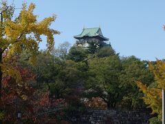 342 紅葉の大阪城公園